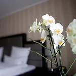 Kraemer Отель 3*